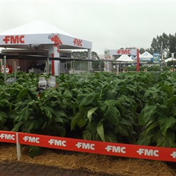 13ª edição Expoagro AFUBRA