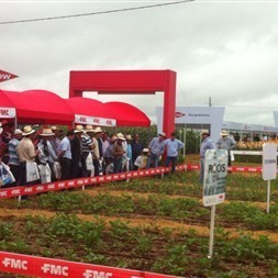 Palotina - PR: FMC leva soluções tecnológicas no Dia de Campo de Verão C.Vale