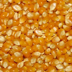 FMC estimula produtores a praticar ações eficazes de manejo na AgroBrasília 2017