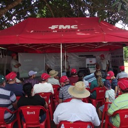 TOUR DO MILHO - RO