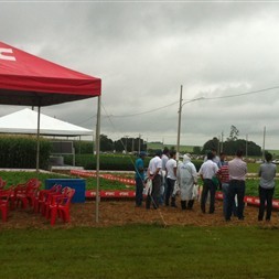 SHOW SAFRA - MT