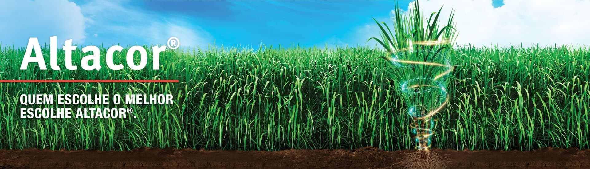 Altacor