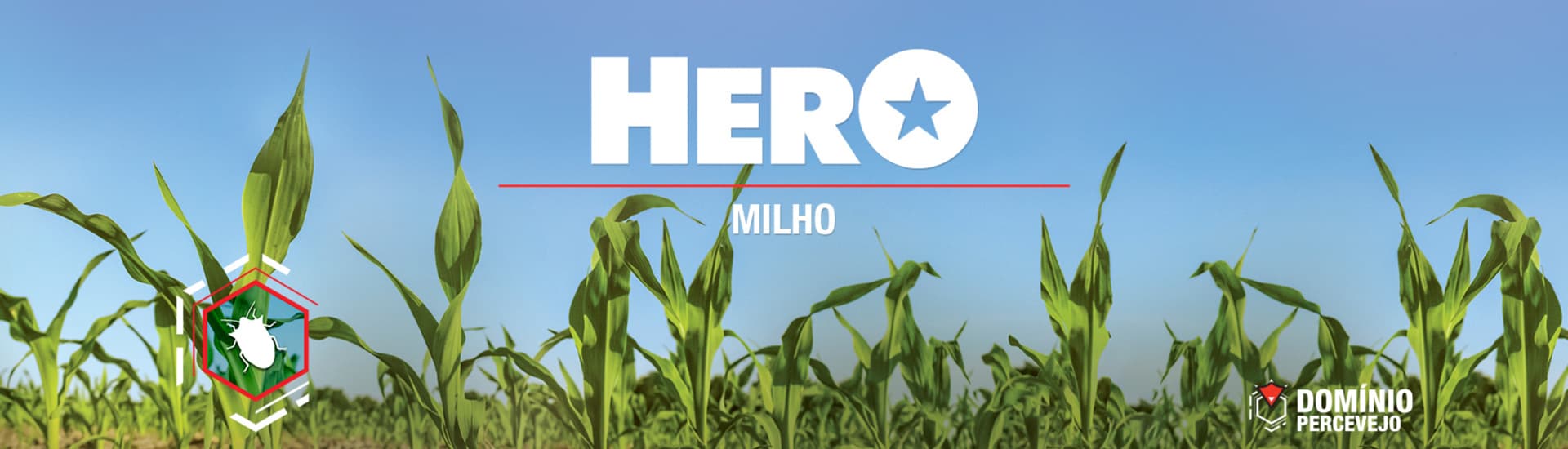 Hero Milho