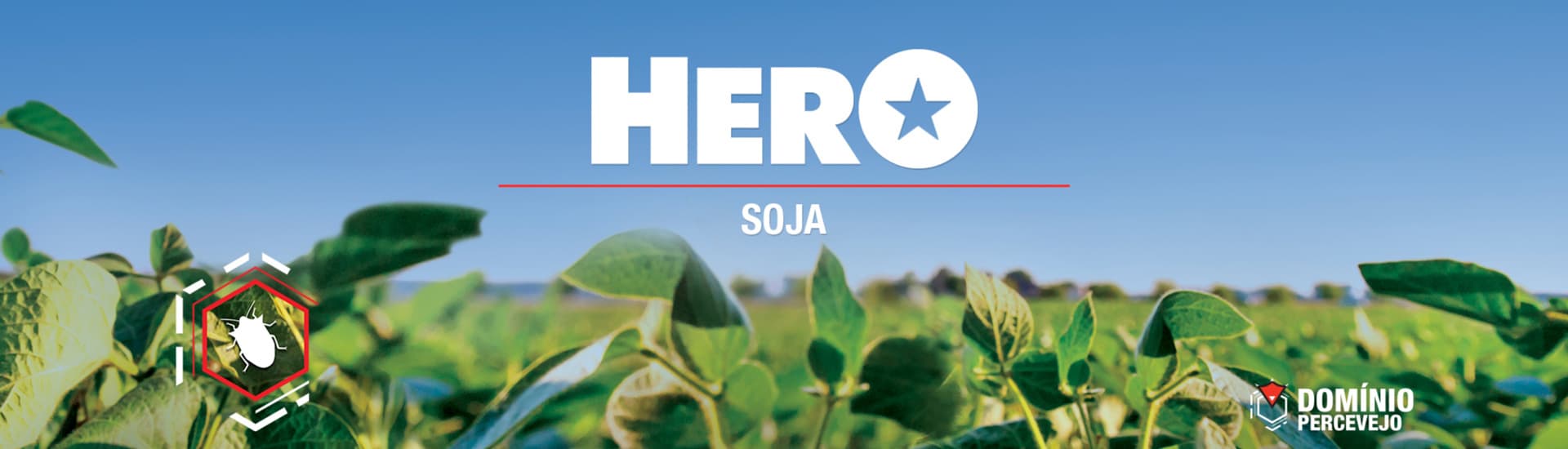 Hero Soja