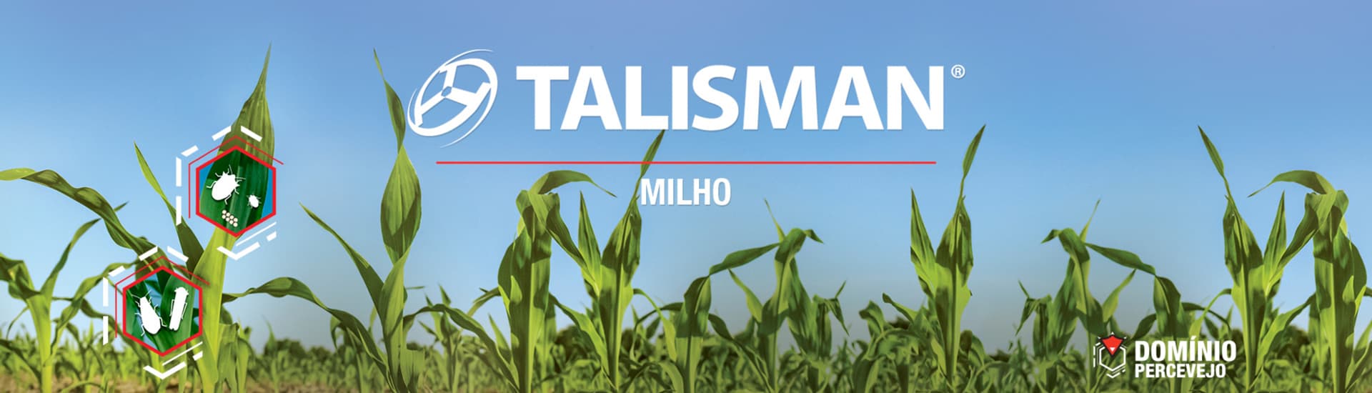 Talisman Milho