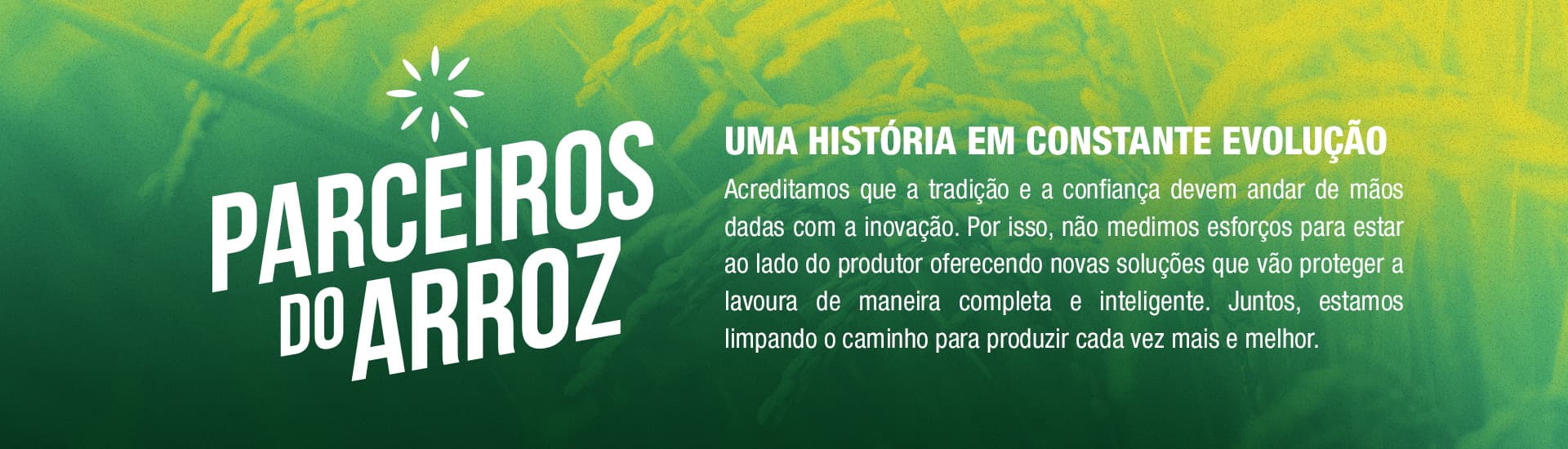 PARCEIROS DO ARROZ Uma história em constante evolução