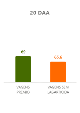 grafico