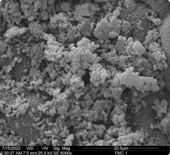 PROVILAR® 7 DIAS APÓS APLICAÇÃO