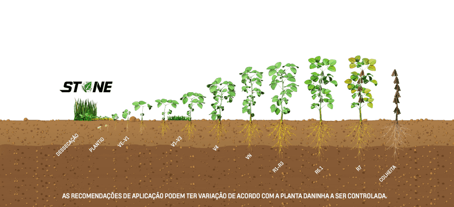 Fenologia-FINAL-SOJA1