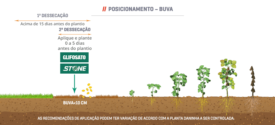 Fenologia-FINAL-SOJA2
