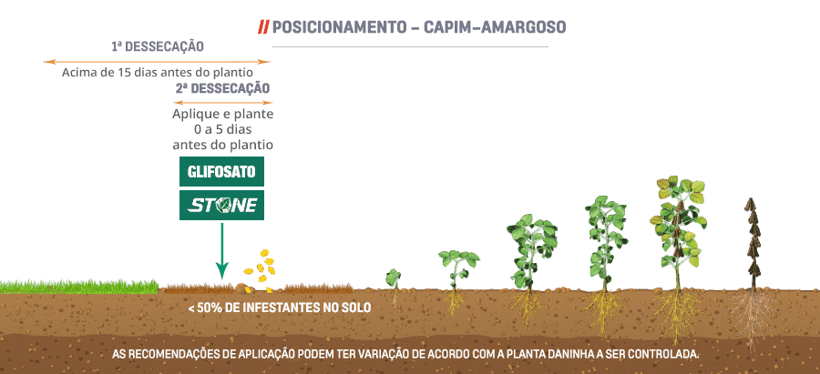 Fenologia-FINAL-SOJA3
