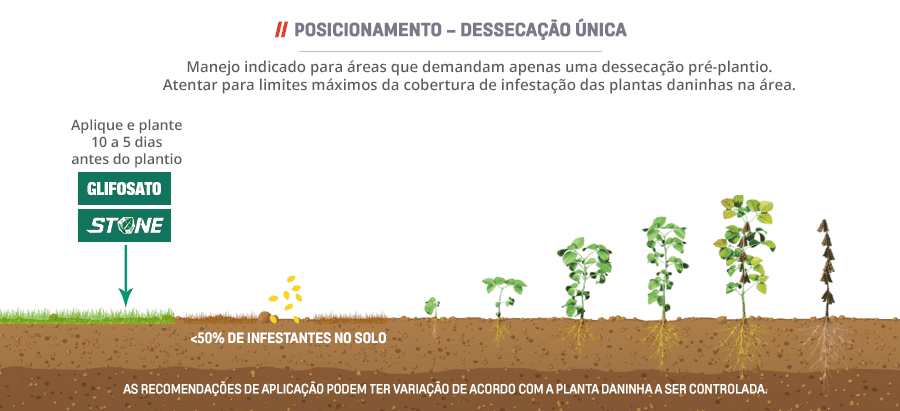 Fenologia-FINAL-SOJA5