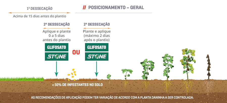 Fenologia-FINAL-SOJA4